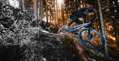 tobias-reiner-rFNDe3ApHvs-unsplash