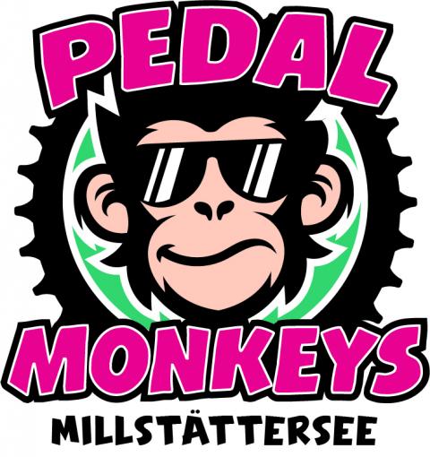 555@4x-100 555@4x-100