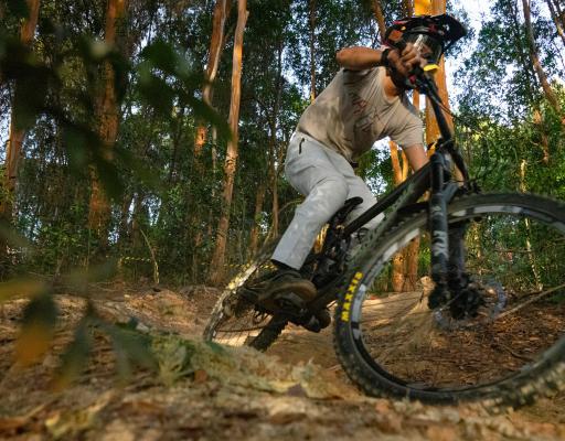 sunil-chandra-sharma-CGhdzkUvj3Q-unsplash sunil-chandra-sharma-CGhdzkUvj3Q-unsplash