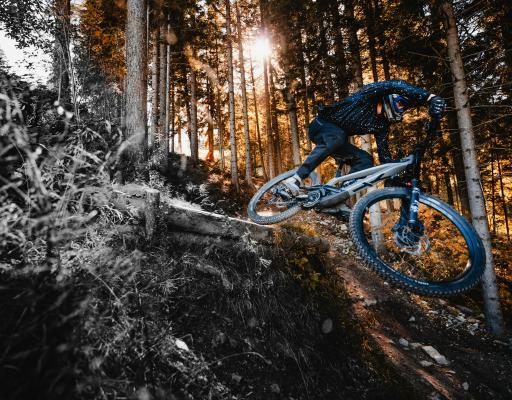 tobias-reiner-rFNDe3ApHvs-unsplash